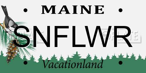SNFLWR Maine License Plate