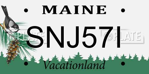 SNJ57I Maine License Plate