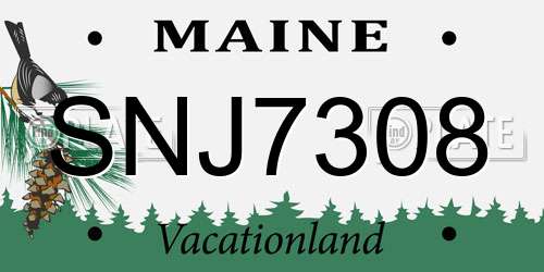 SNJ7308 Maine License Plate