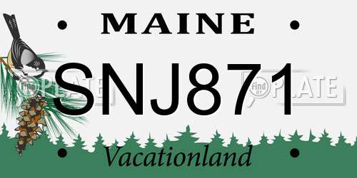 SNJ871 Maine License Plate
