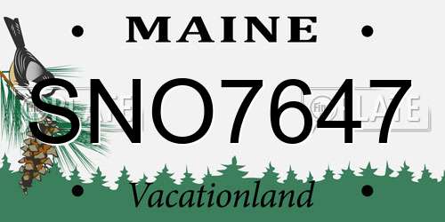 SNO7647 Maine License Plate