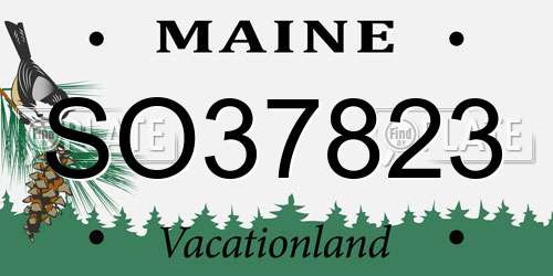 SO37823 Maine License Plate