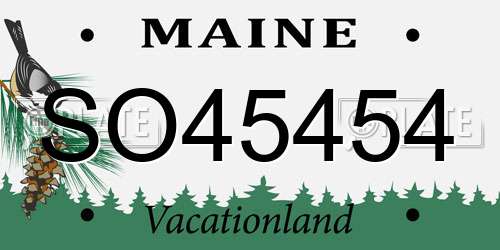 SO45454 Maine License Plate