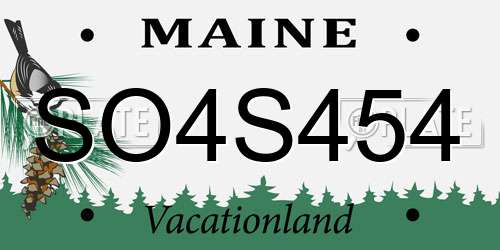 SO4S454 Maine License Plate