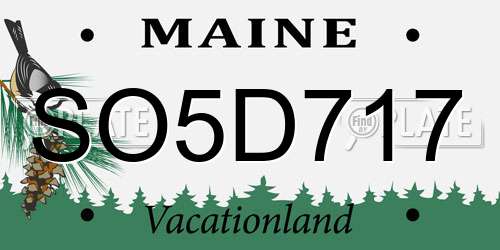 SO5D717 Maine License Plate