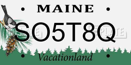 SO5T8Q Maine License Plate