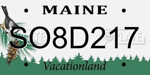 SO8D217 Maine License Plate