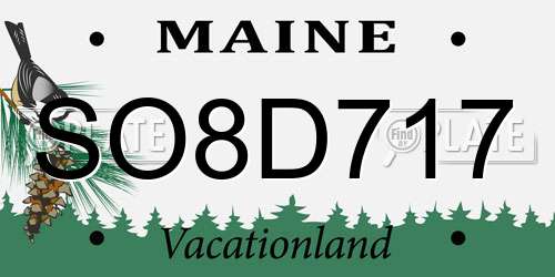 SO8D717 Maine License Plate