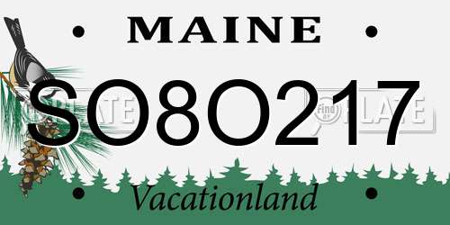 SO8O217 Maine License Plate
