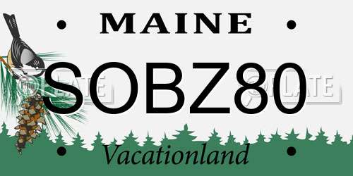 SOBZ80 Maine License Plate