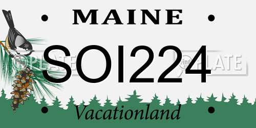 SOI224 Maine License Plate