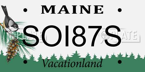 SOI87S Maine License Plate