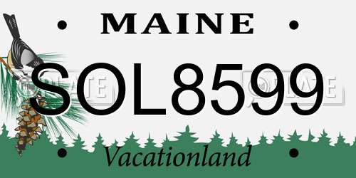 SOL8599 Maine License Plate
