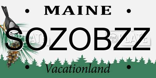 SOZOBZZ Maine License Plate