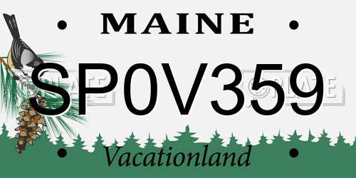 SP0V359 Maine License Plate