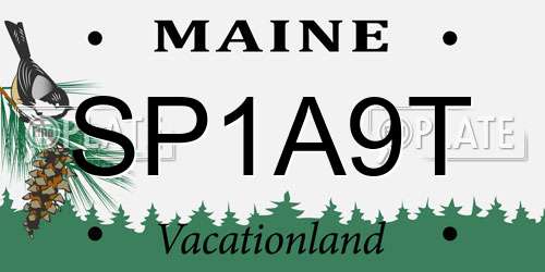SP1A9T Maine License Plate