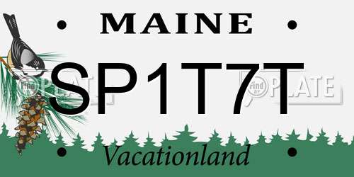 SP1T7T Maine License Plate