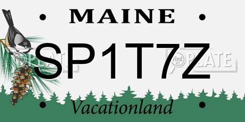 SP1T7Z Maine License Plate