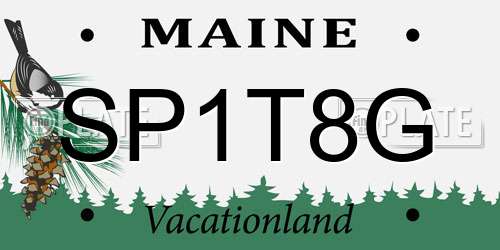 SP1T8G Maine License Plate