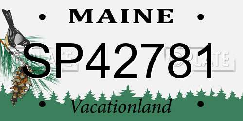 SP42781 Maine License Plate