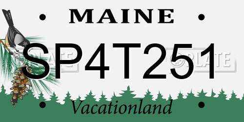SP4T251 Maine License Plate
