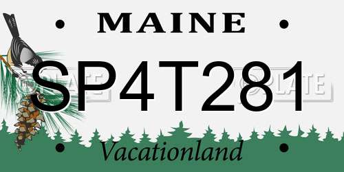 SP4T281 Maine License Plate