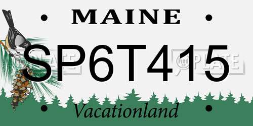 SP6T415 Maine License Plate