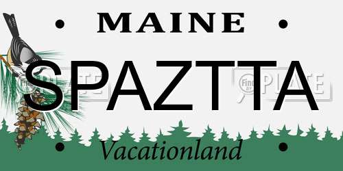 SPAZTTA Maine License Plate