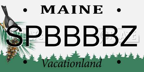 SPBBBBZ Maine License Plate