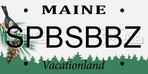 SPBSBBZ Maine License Plate