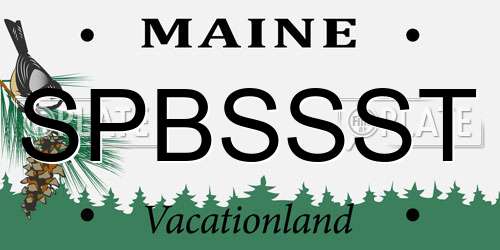 SPBSSST Maine License Plate