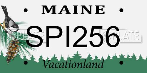 SPI256 Maine License Plate