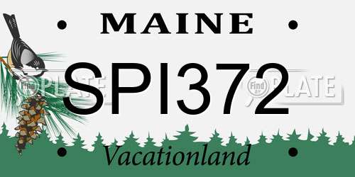 SPI372 Maine License Plate