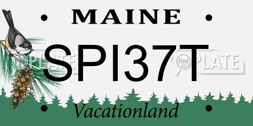 SPI37T Maine License Plate
