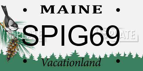 SPIG69 Maine License Plate