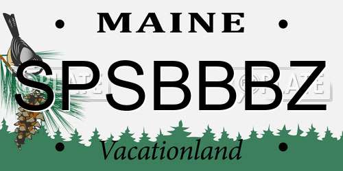 SPSBBBZ Maine License Plate