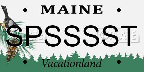 SPSSSST Maine License Plate