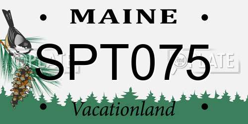 SPT075 Maine License Plate