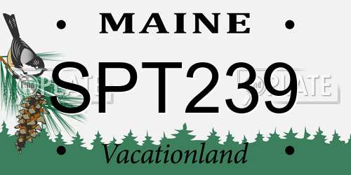 SPT239 Maine License Plate