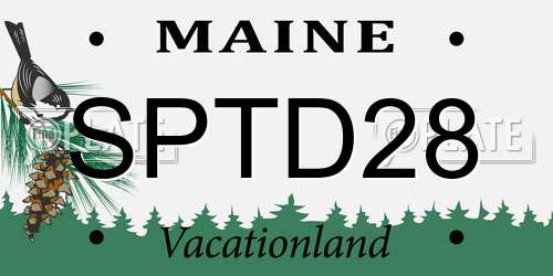 SPTD28 Maine License Plate