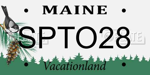 SPTO28 Maine License Plate
