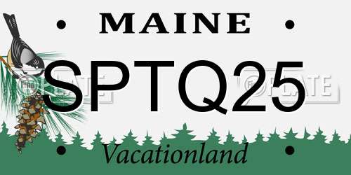 SPTQ25 Maine License Plate