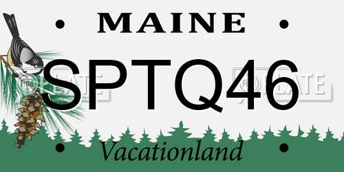 SPTQ46 Maine License Plate