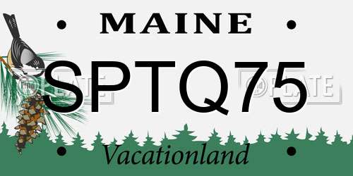 SPTQ75 Maine License Plate