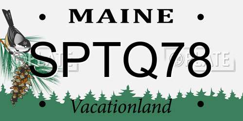 SPTQ78 Maine License Plate