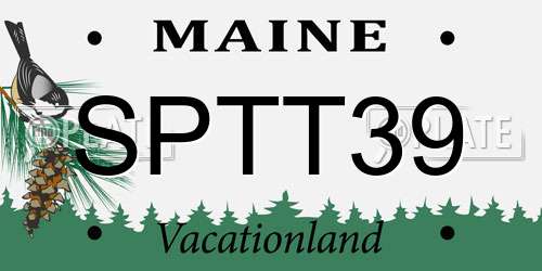 SPTT39 Maine License Plate