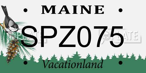 SPZ075 Maine License Plate
