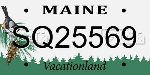 SQ25569 Maine License Plate