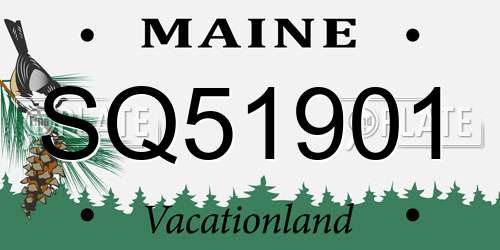 SQ51901 Maine License Plate