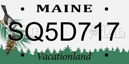 SQ5D717 Maine License Plate